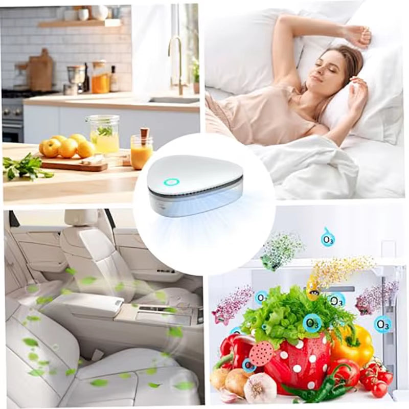 Portable Smoke Odor Remover