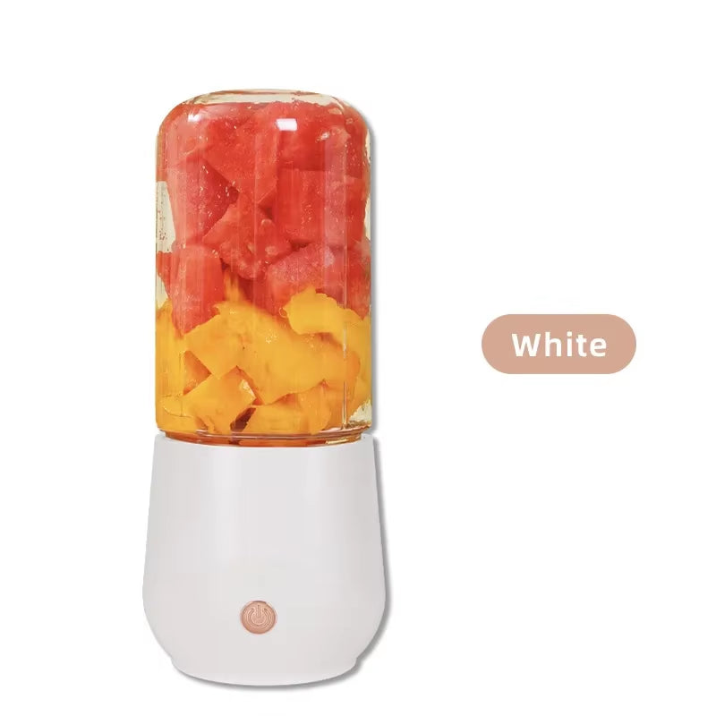 Portable Mini Fruit Blender