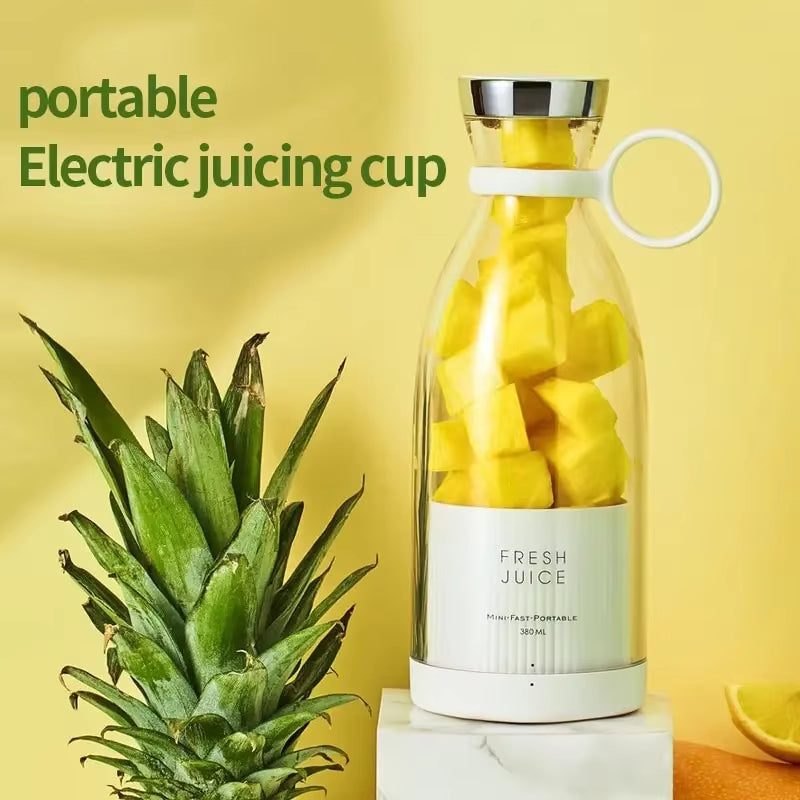 Portable Mini Fruit Blender